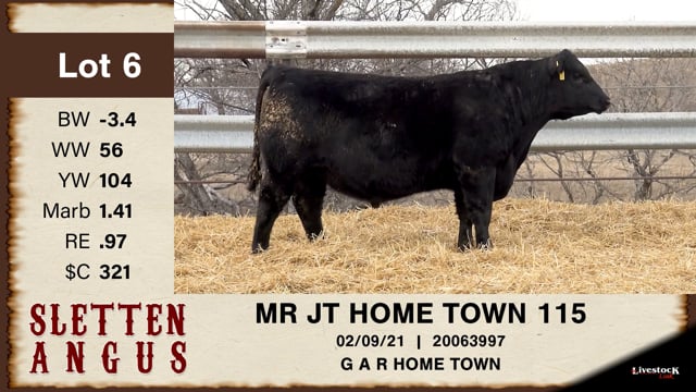 Lot #6 - MR JT HOME TOWN 115