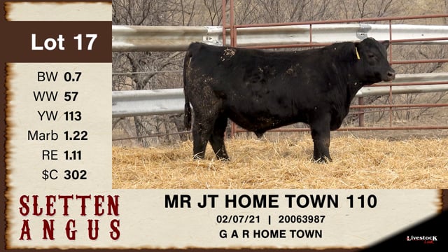 Lot #17 - MR JT HOME TOWN 110