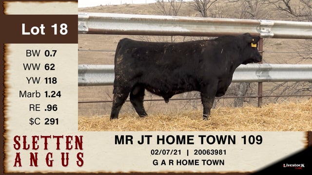 Lot #18 - MR JT HOME TOWN 109
