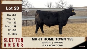 Lot #20 - MR JT HOME TOWN 155