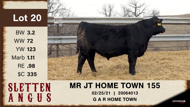 Lot #20 - MR JT HOME TOWN 155