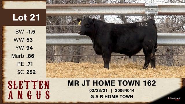 Lot #21 - MR JT HOME TOWN 162