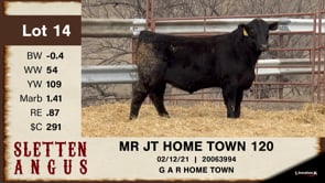 Lot #14 - MR JT HOME TOWN 120