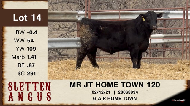 Lot #14 - MR JT HOME TOWN 120