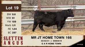Lot #19 - MR JT HOME TOWN 166
