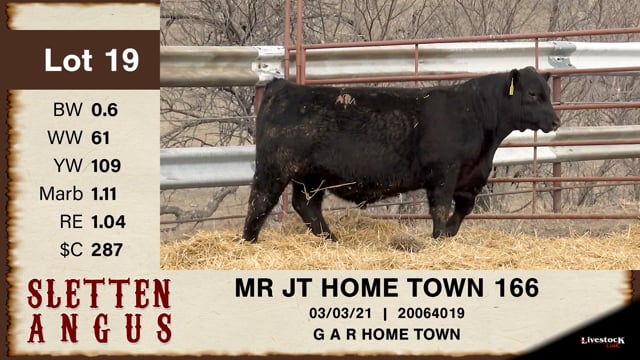 Lot #19 - MR JT HOME TOWN 166
