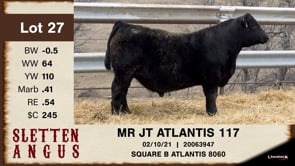 Lot #27 - MR JT ATLANTIS 117