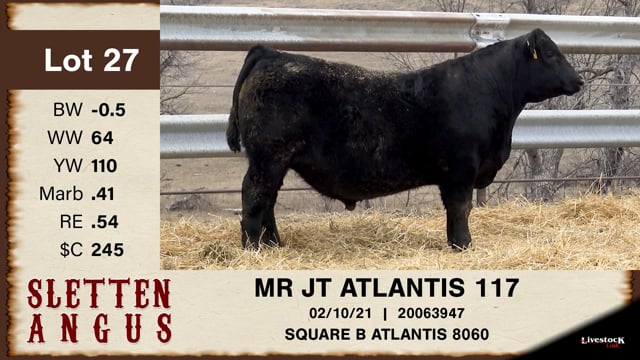 Lot #27 - MR JT ATLANTIS 117