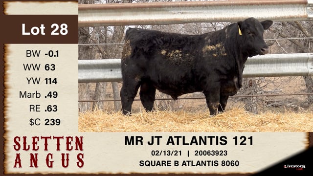 Lot #28 - MR JT ATLANTIS 121