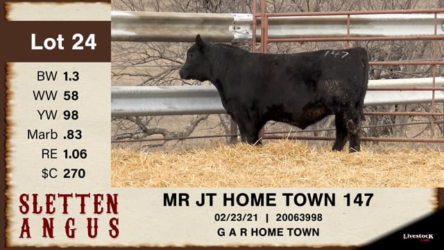 Lot #24 - MR JT HOME TOWN 147