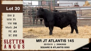 Lot #30 - MR JT ATLANTIS 145