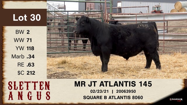 Lot #30 - MR JT ATLANTIS 145