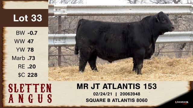Lot #33 - MR JT ATLANTIS 1453