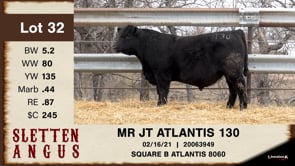Lot #32 - MR JT ATLANTIS 130
