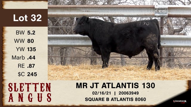Lot #32 - MR JT ATLANTIS 130