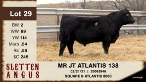 Lot #29 - MR JT ATLANTIS 138