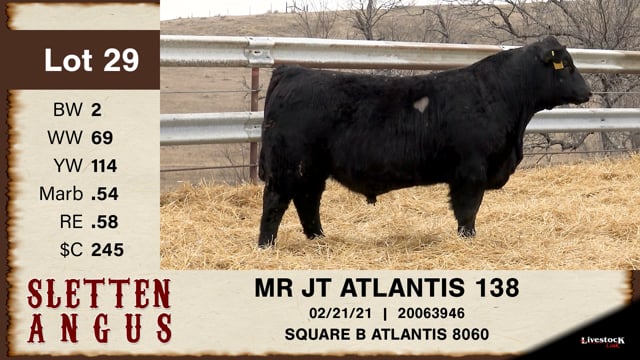 Lot #29 - MR JT ATLANTIS 138