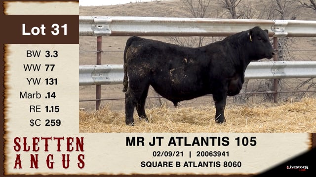 Lot #31 - MR JT ATLANTIS 105