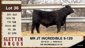 Lot #36 - MR JT INCREDIBLE 9-129