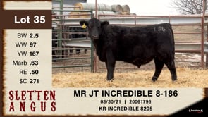 Lot #35 - MR JT INCREDIBLE 8-186