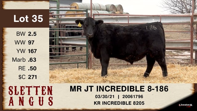 Lot #35 - MR JT INCREDIBLE 8-186