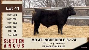 Lot #41 - MR JT INCREDIBLE 8-174