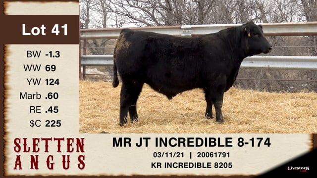 Lot #41 - MR JT INCREDIBLE 8-174