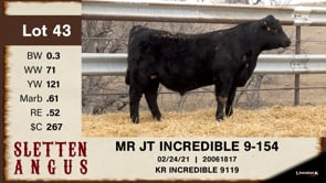 Lot #43 - MR JT INCREDIBLE 9-154