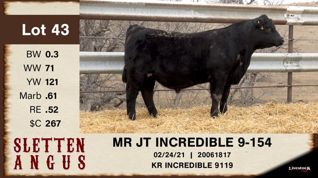 Lot #43 - MR JT INCREDIBLE 9-154