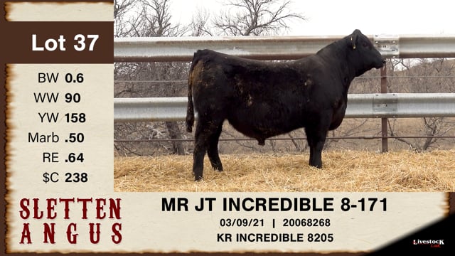 Lot #37 - MR JT INCREDIBLE 8-171