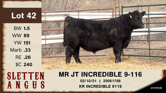 Lot #42 - MR JT INCREDIBLE 9-116