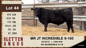 Lot #44 - MR JT INCREDIBLE 9-160