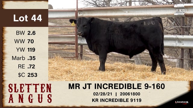 Lot #44 - MR JT INCREDIBLE 9-160