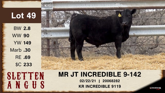 Lot #49 - MR JT INCREDIBLE 9-142