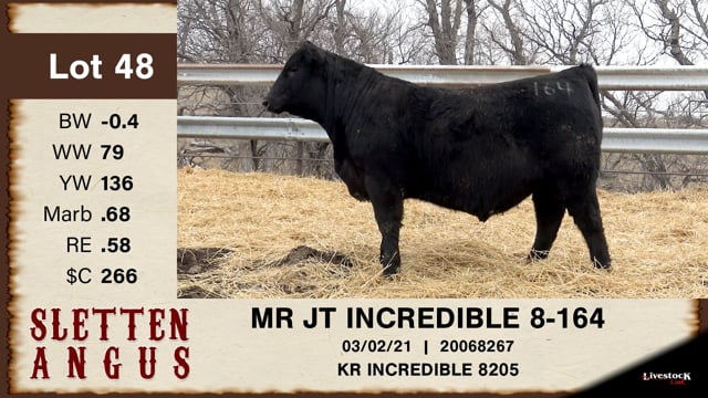 Lot #48 - MR JT INCREDIBLE 8-164