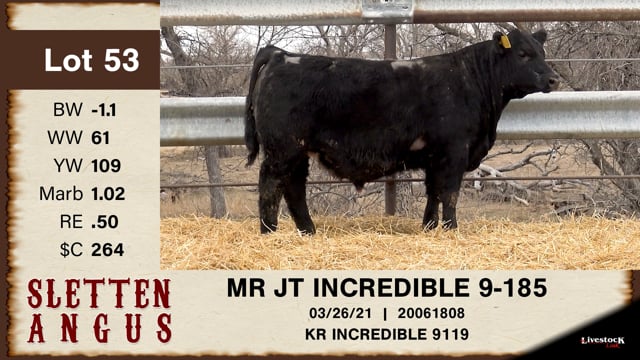 Lot #53 - MR JT INCREDIBLE 9-185