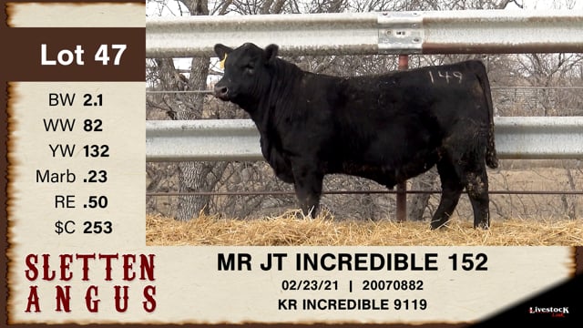 Lot #47 - MR JT INCREDIBLE 152