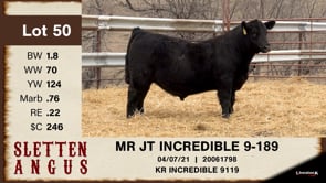Lot #50 - MR JT INCREDIBLE 9-189