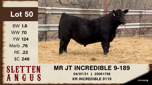 Lot #50 - MR JT INCREDIBLE 9-189