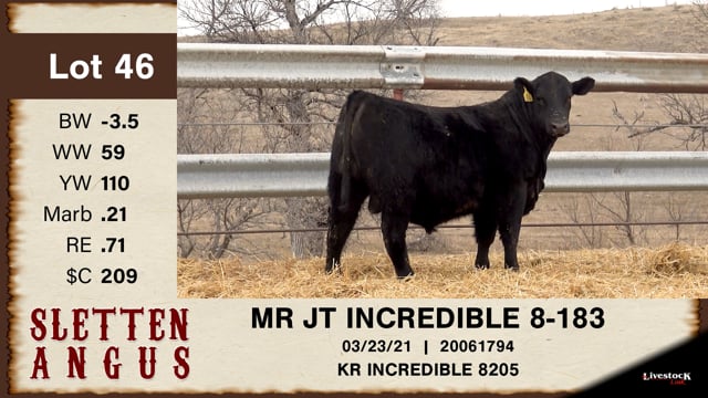 Lot #46 - MR JT INCREDIBLE 8-183