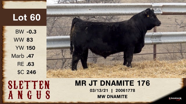 Lot #60 - OUT - MR JT DNAMITE 176 - OUT
