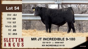 Lot #54 - MR JT INCREDIBLE 9-180