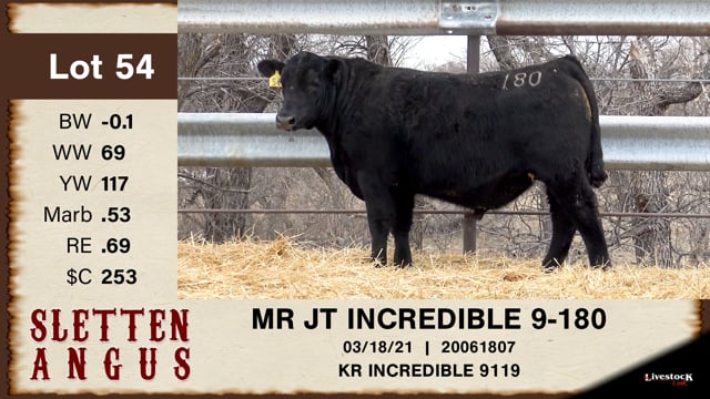 Lot #54 - MR JT INCREDIBLE 9-180