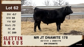Lot #62 - MR JT DNAMITE 178