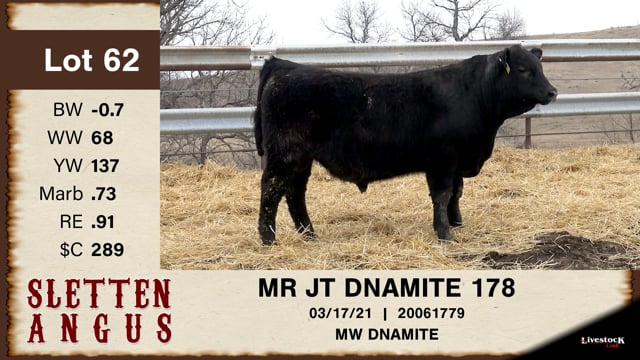 Lot #62 - MR JT DNAMITE 178