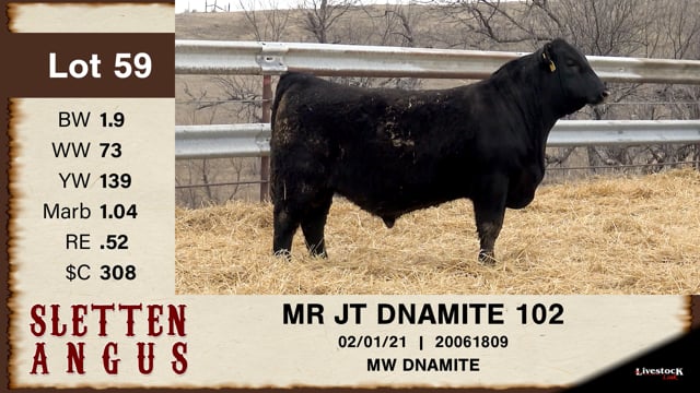 Lot #59 - MR JT DNAMITE 102