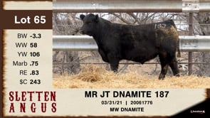 Lot #65 - MR JT DNAMITE 187