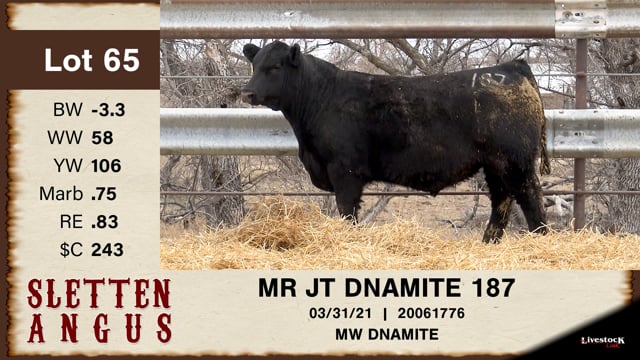 Lot #65 - MR JT DNAMITE 187