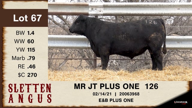 Lot #67 - MR JT PLU ONE 126