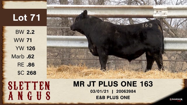 Lot #71 - MR JT PLUS ONE 163